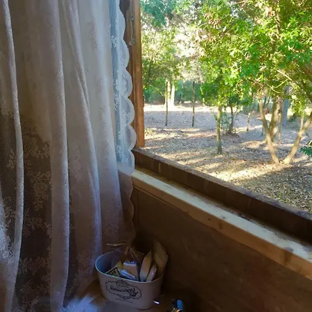 Luxury tent Gipsy Di Del Dottore Montecarlo
