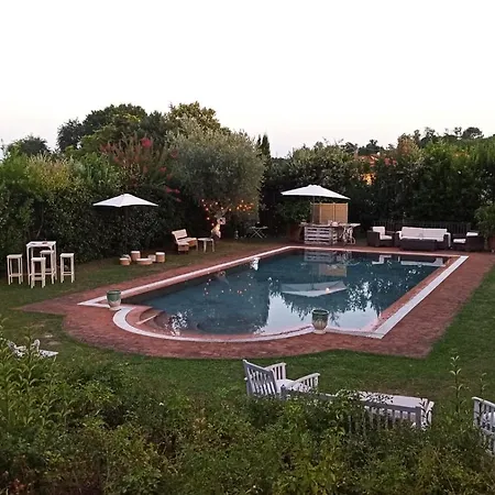 Gipsy Di Del Dottore Montecarlo
