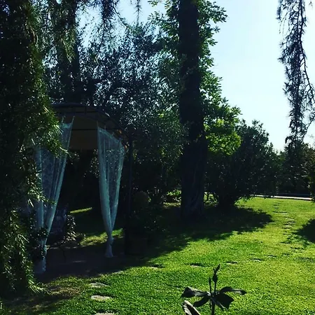 Gipsy Di Del Dottore Campo de lujo